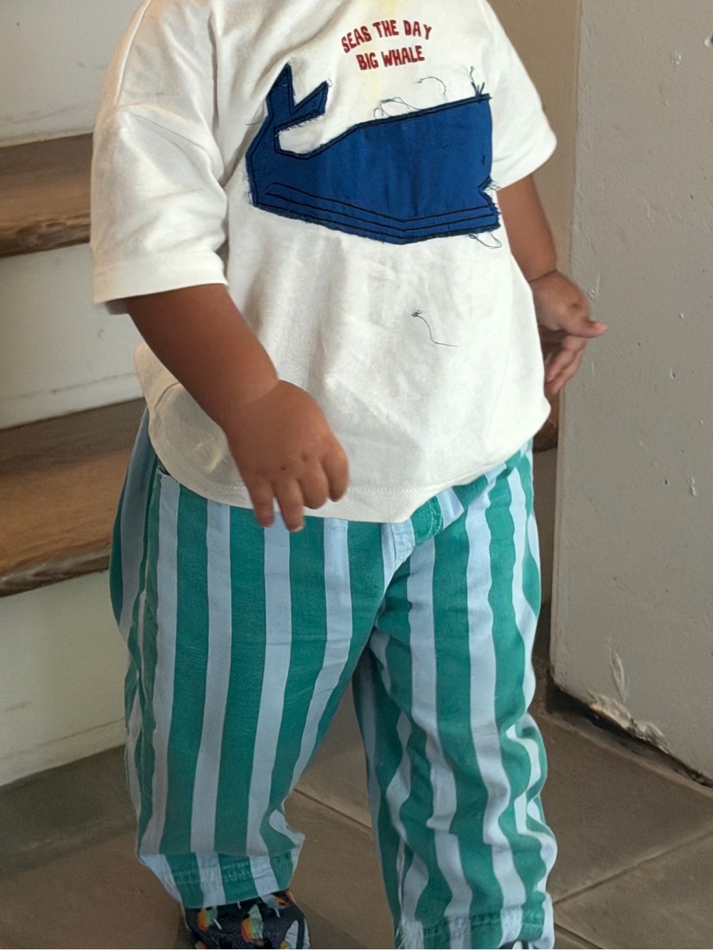 ZARA Toddler boy whale t shirt and striped ZARA pant 2T